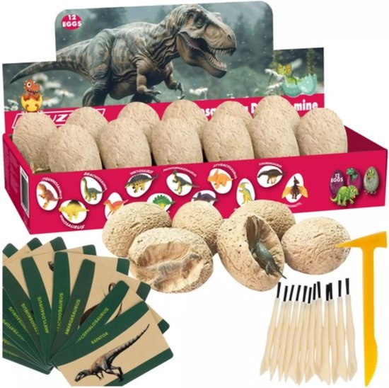 Opgravingsset met twaalf dinosauruseieren, hamer en borstel