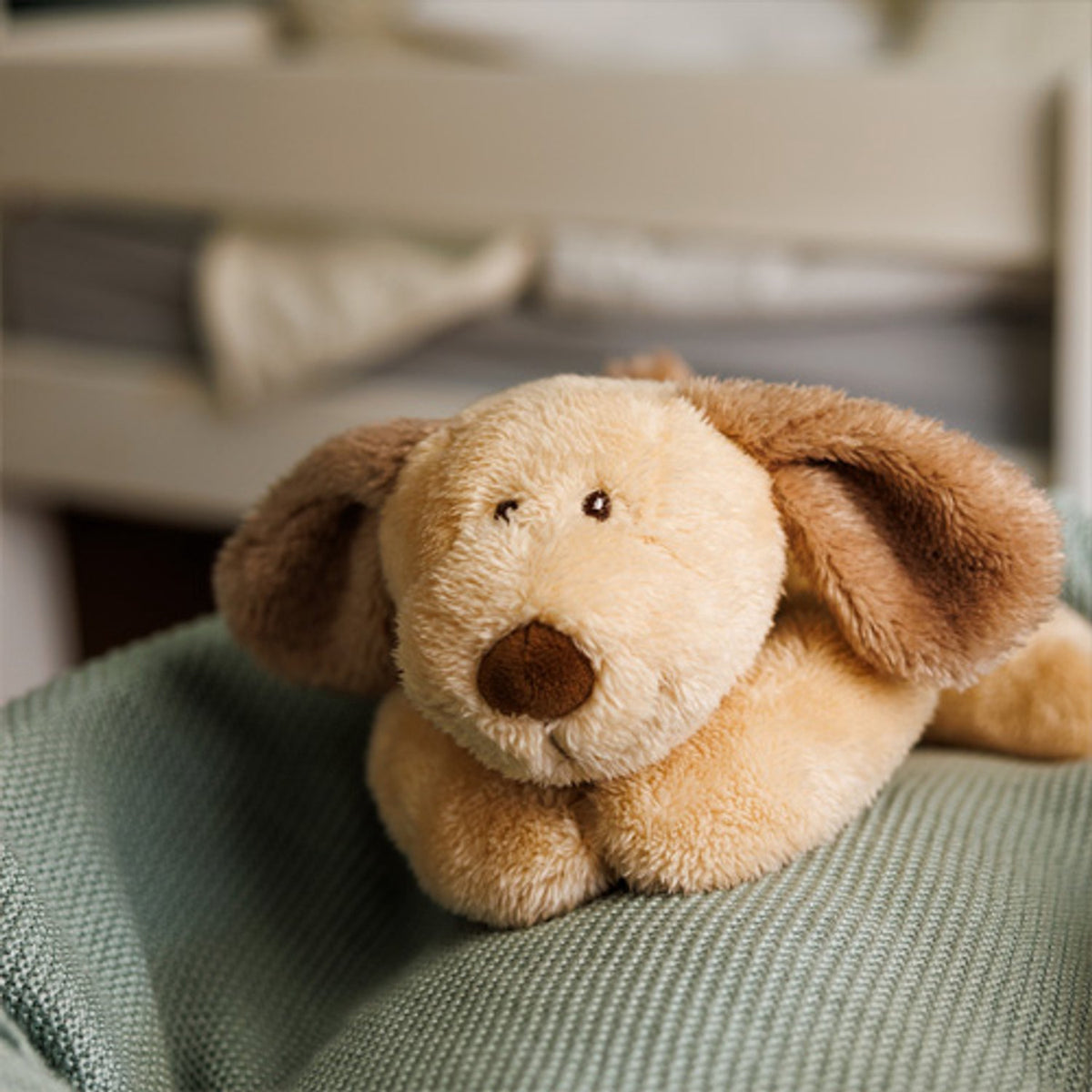 Kersenpitknuffel hond op een groene deken