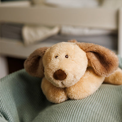 Kersenpitknuffel hond op een groene deken