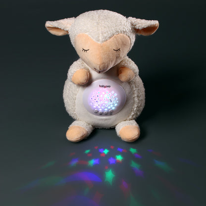 Schaap Scarlet met sterrenprojectie in het donker