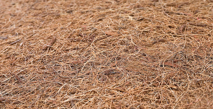 Sensillo kokos-schuim matras 120 x 60 cm, 9 cm dik, afneembare hoes