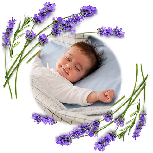{{ product.title }} baby accessoires Soosie
